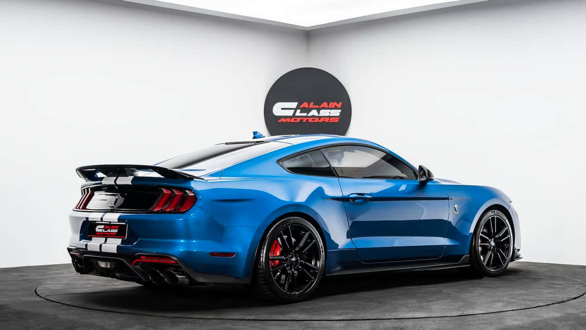 Blue Ford Mustang Shelby G T500 Showroom Wallpaper