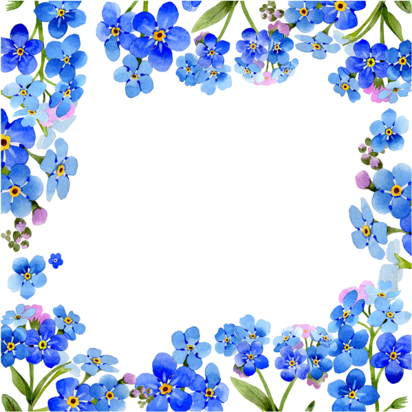 Blue Forget Me Not Floral Frame PNG