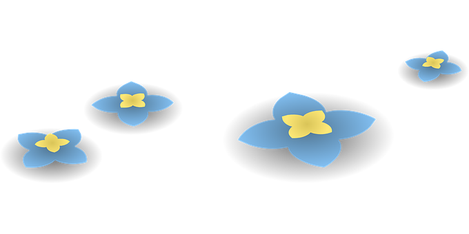 Blue Forget Me Nots Black Background PNG