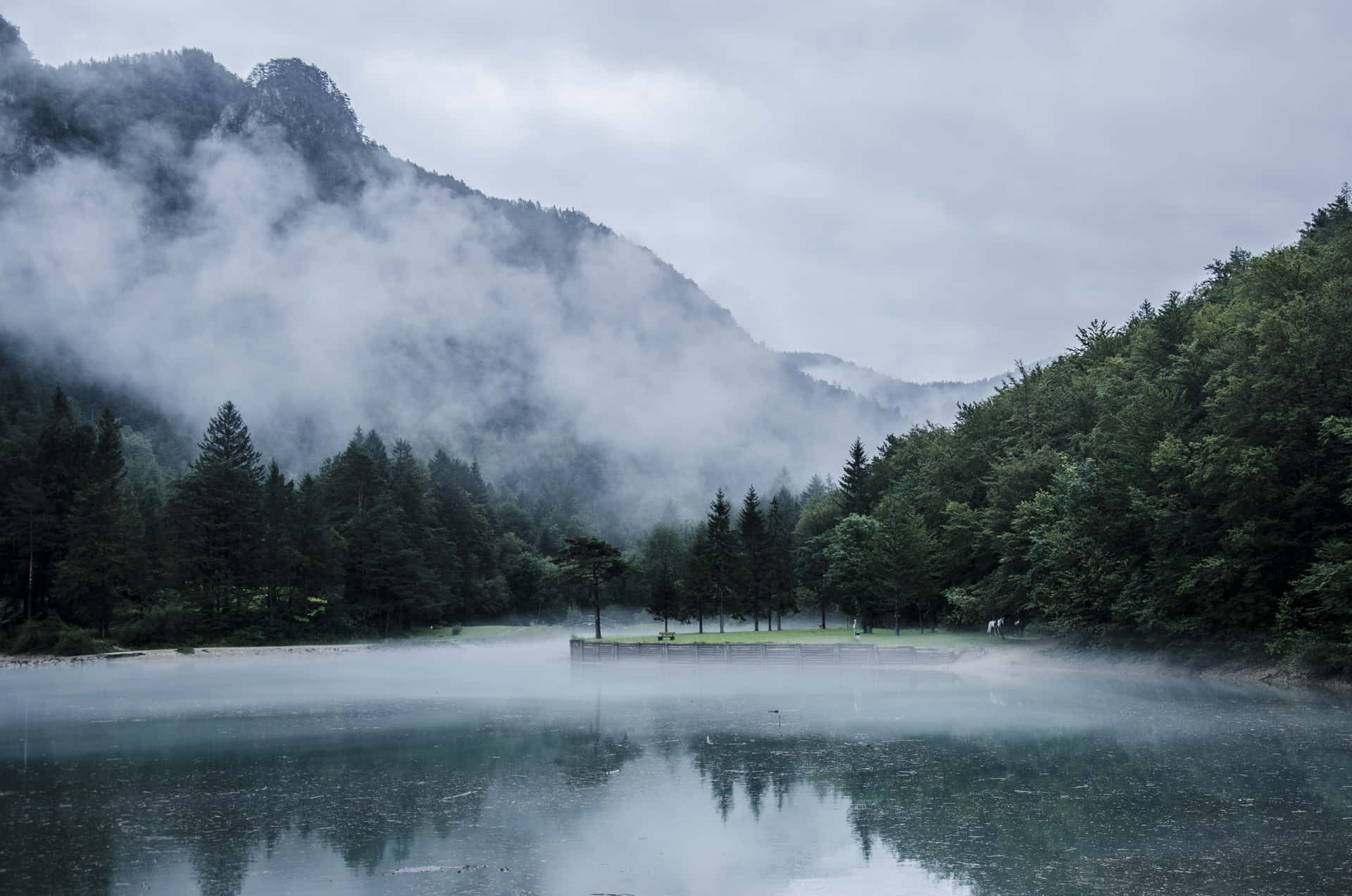 En sø omgivet af træer og tåge. Wallpaper