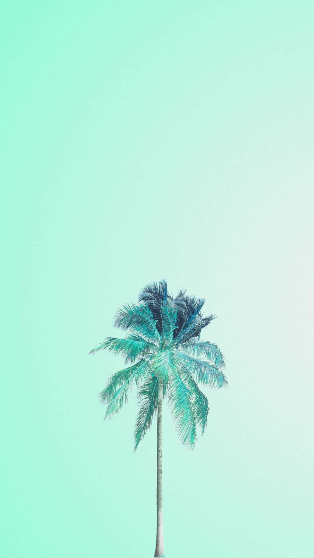 Blågrönestetisk Ensam Palm Tree. Wallpaper