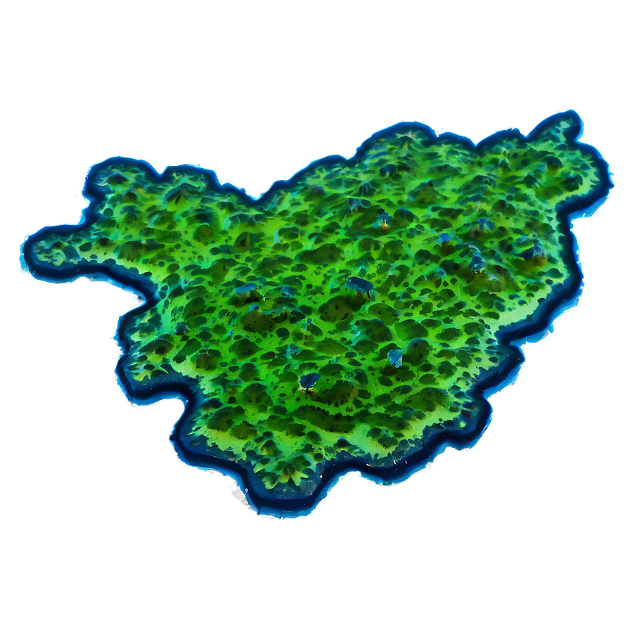 Blue-green Algae Picture Png 12 PNG