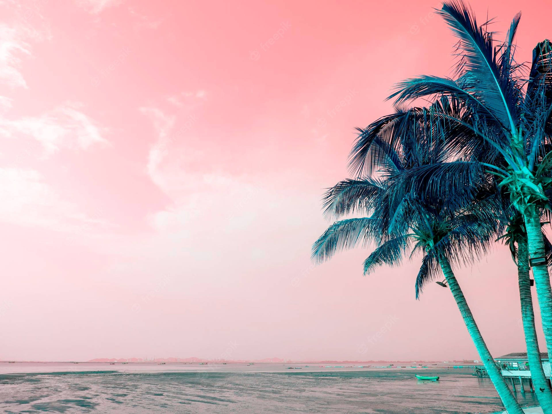 Blue Green Coconut Trees And Pink Sky Wallpaper