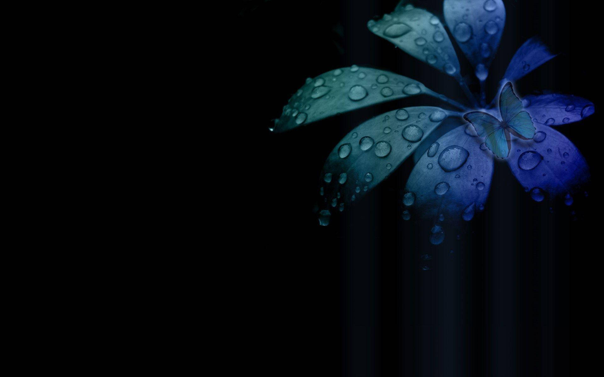 Blue-Green Dark HD Flowers Desktop Wallpaper