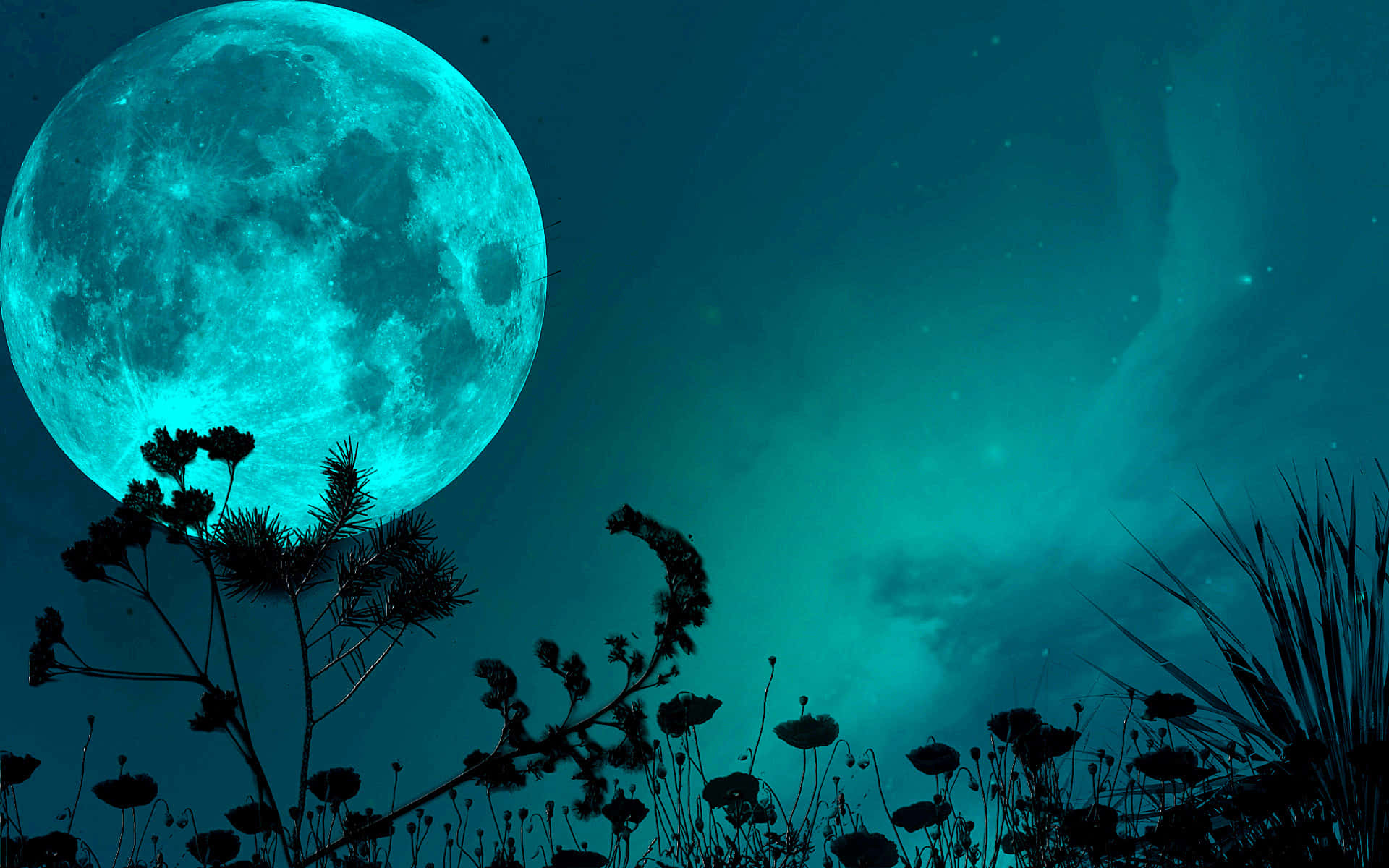 Blue Green Large Night Sky Moon Picture