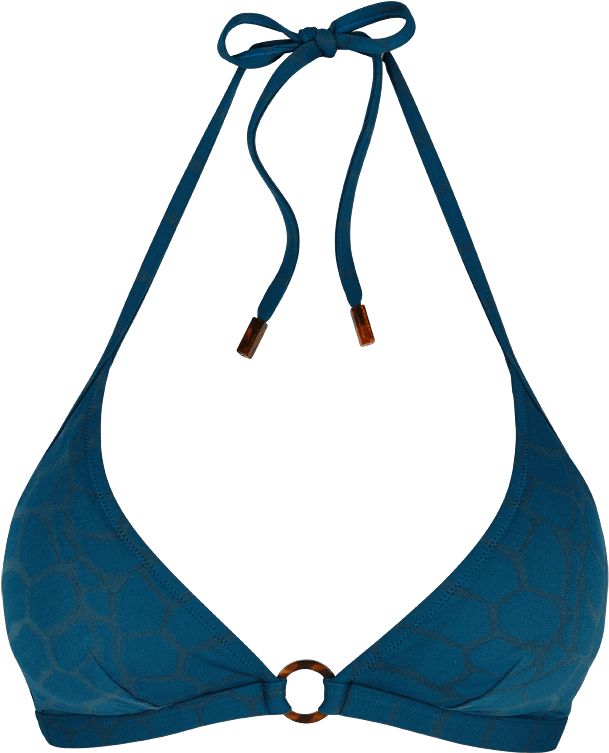 Blue Halterneck Bikini Top PNG