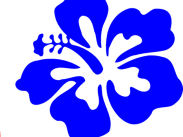 Blue Hawaiian Hibiscus Graphic PNG