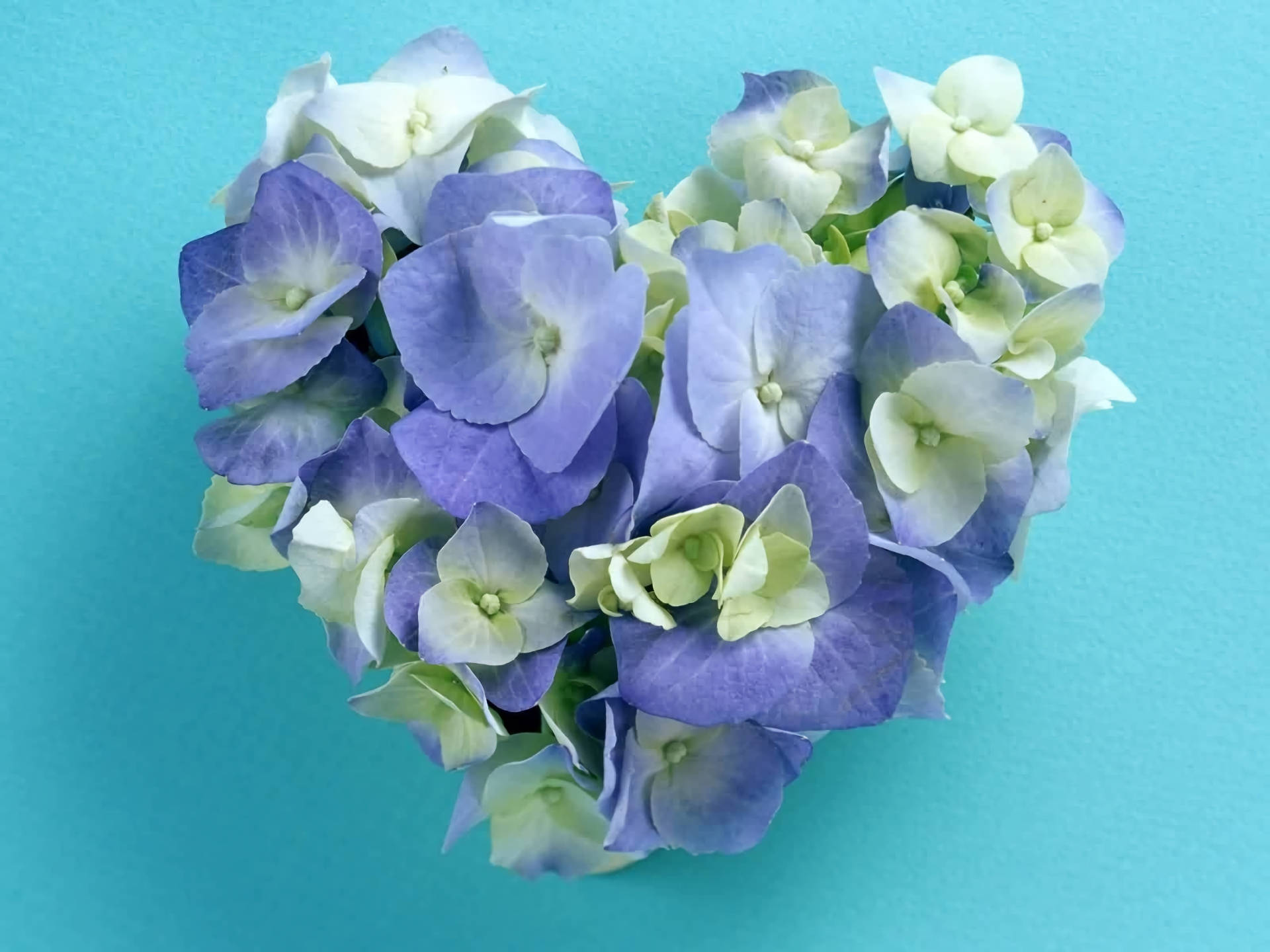 Blue Heart Floral Arrangement Wallpaper