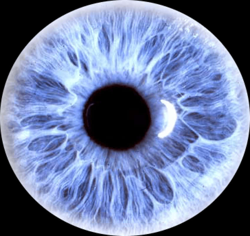Blue Human Eye Closeup PNG