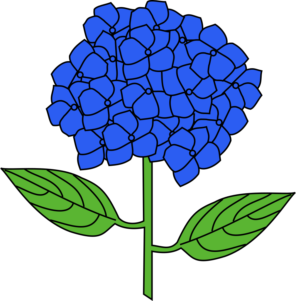 Blue Hydrangea Vector Illustration PNG