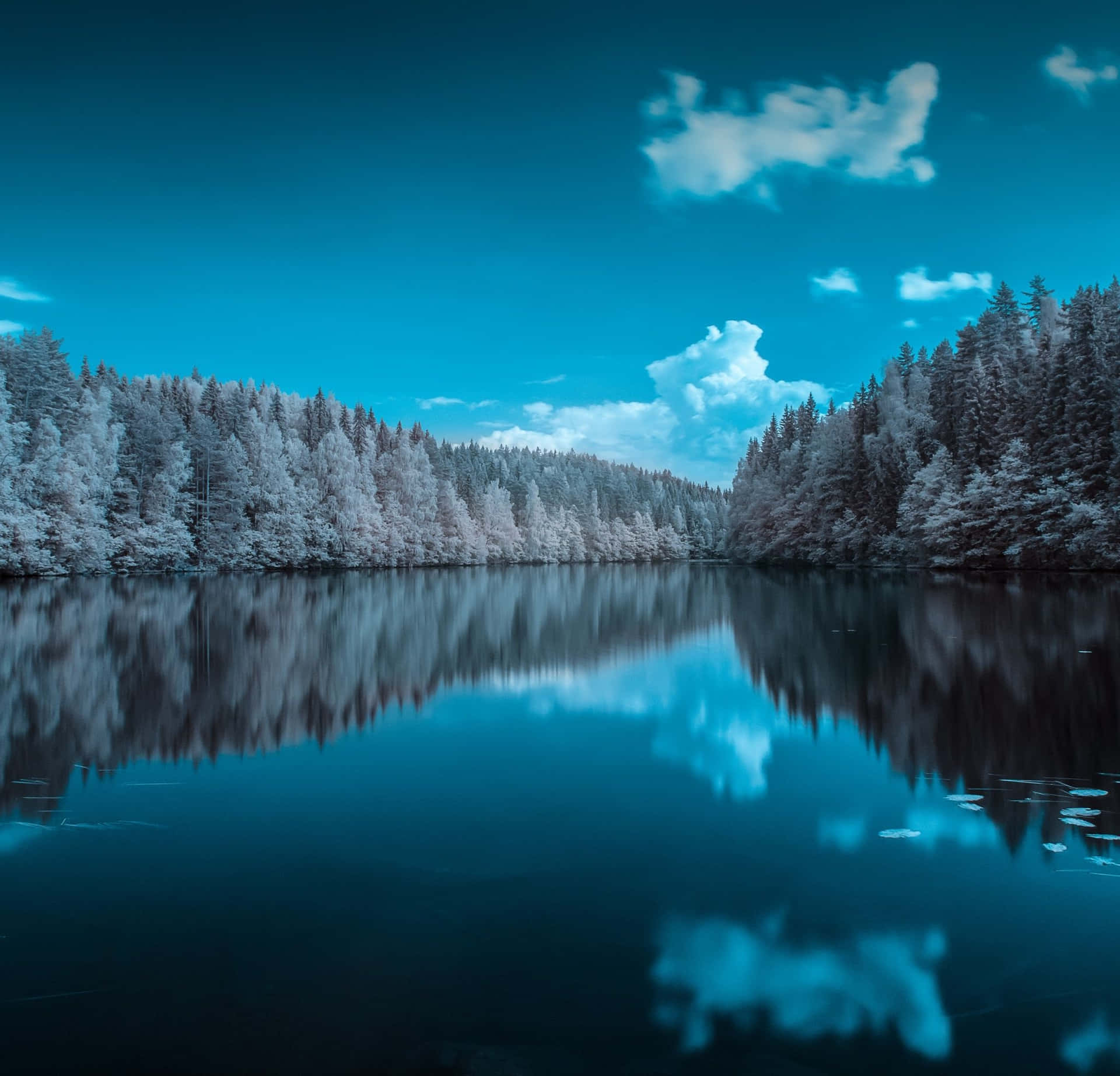 A Lake With Trees And Blue Sky Wallpaper