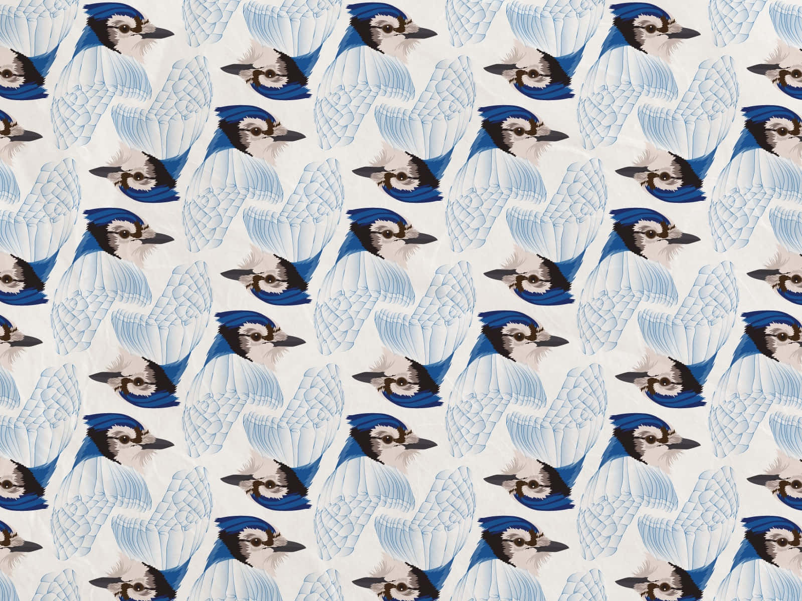 Blue Jay Pattern Background Wallpaper