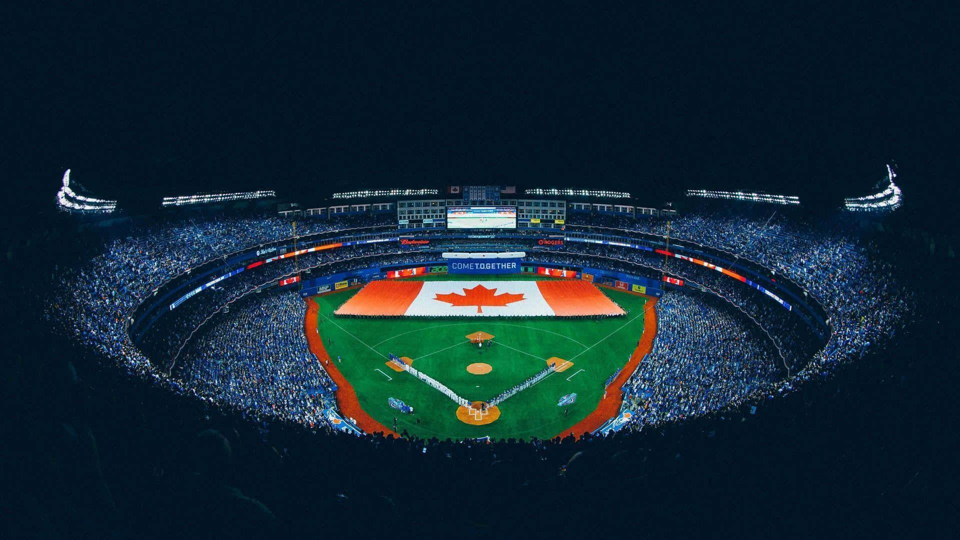 Toronto Blue Jays Win One for the Fans Wallpaper