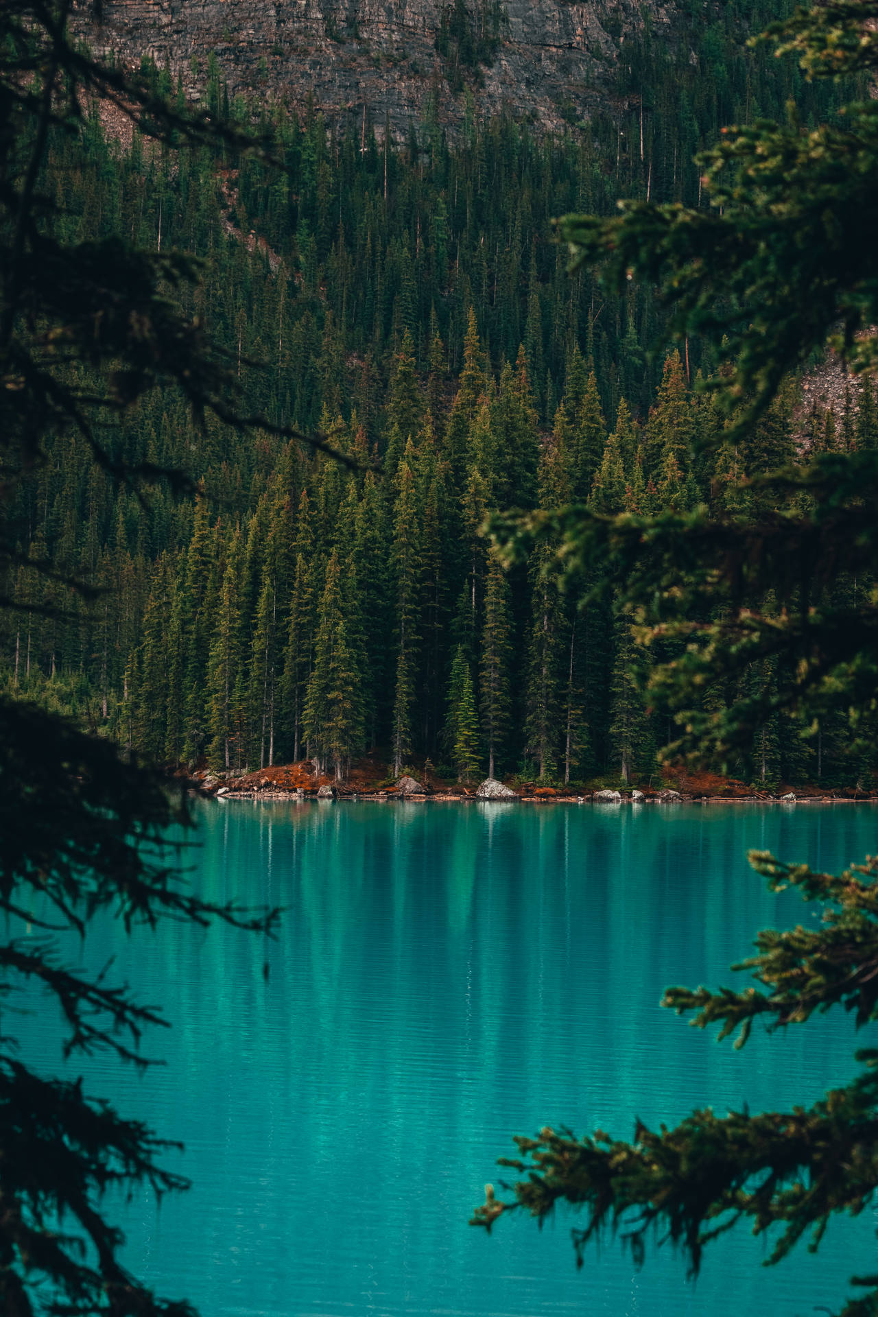 Blue Lake Louise In Canada Iphone Wallpaper