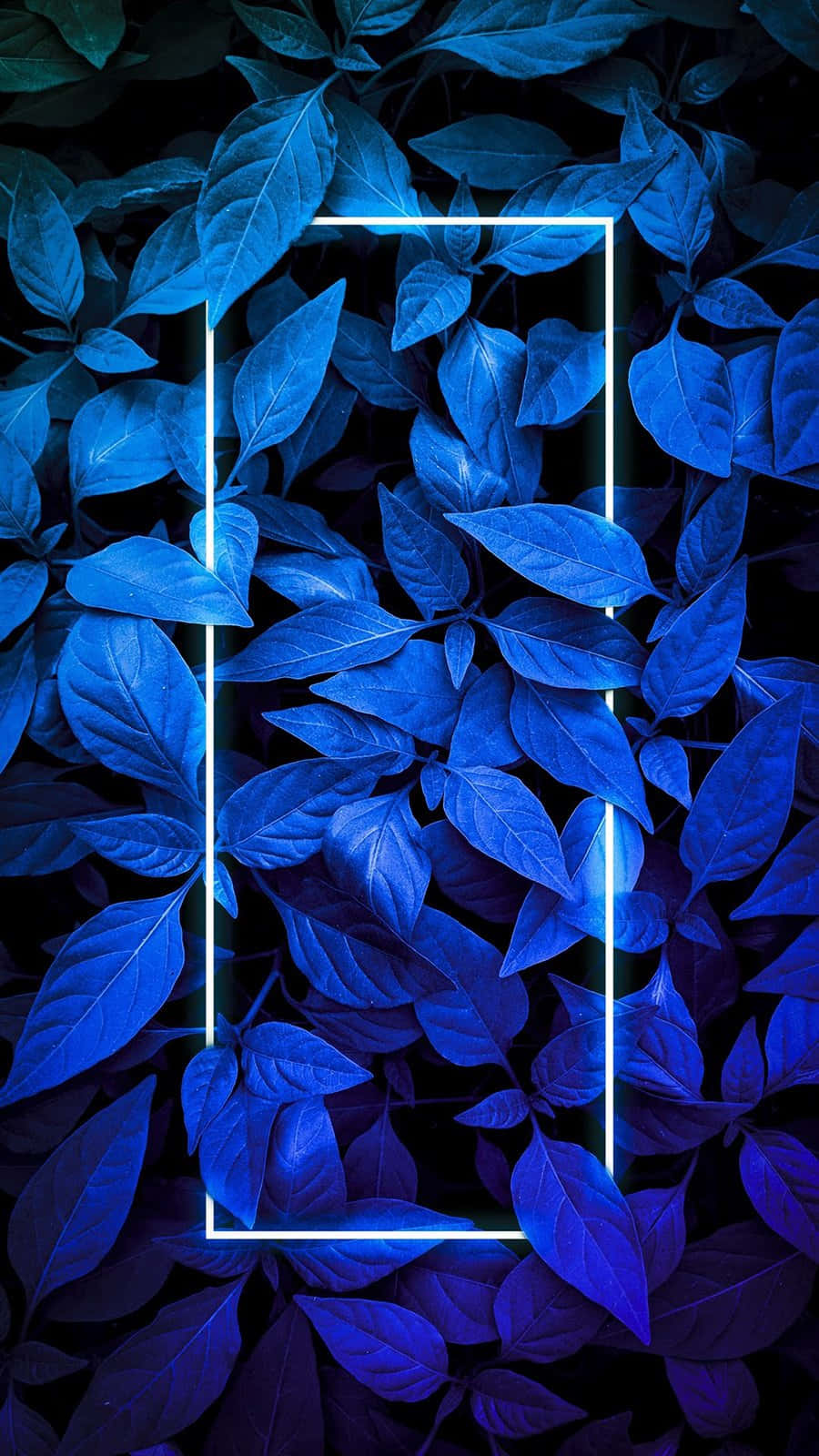 Blue Leaf Glow Neon Frame Wallpaper