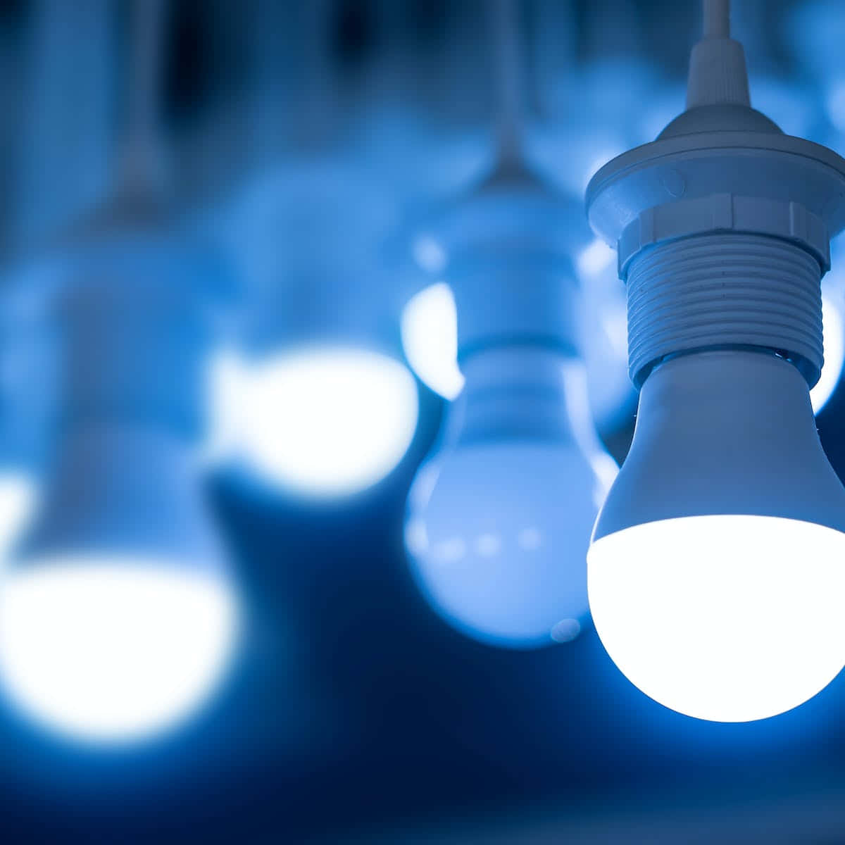 A Group Of Light Bulbs In A Dark Room