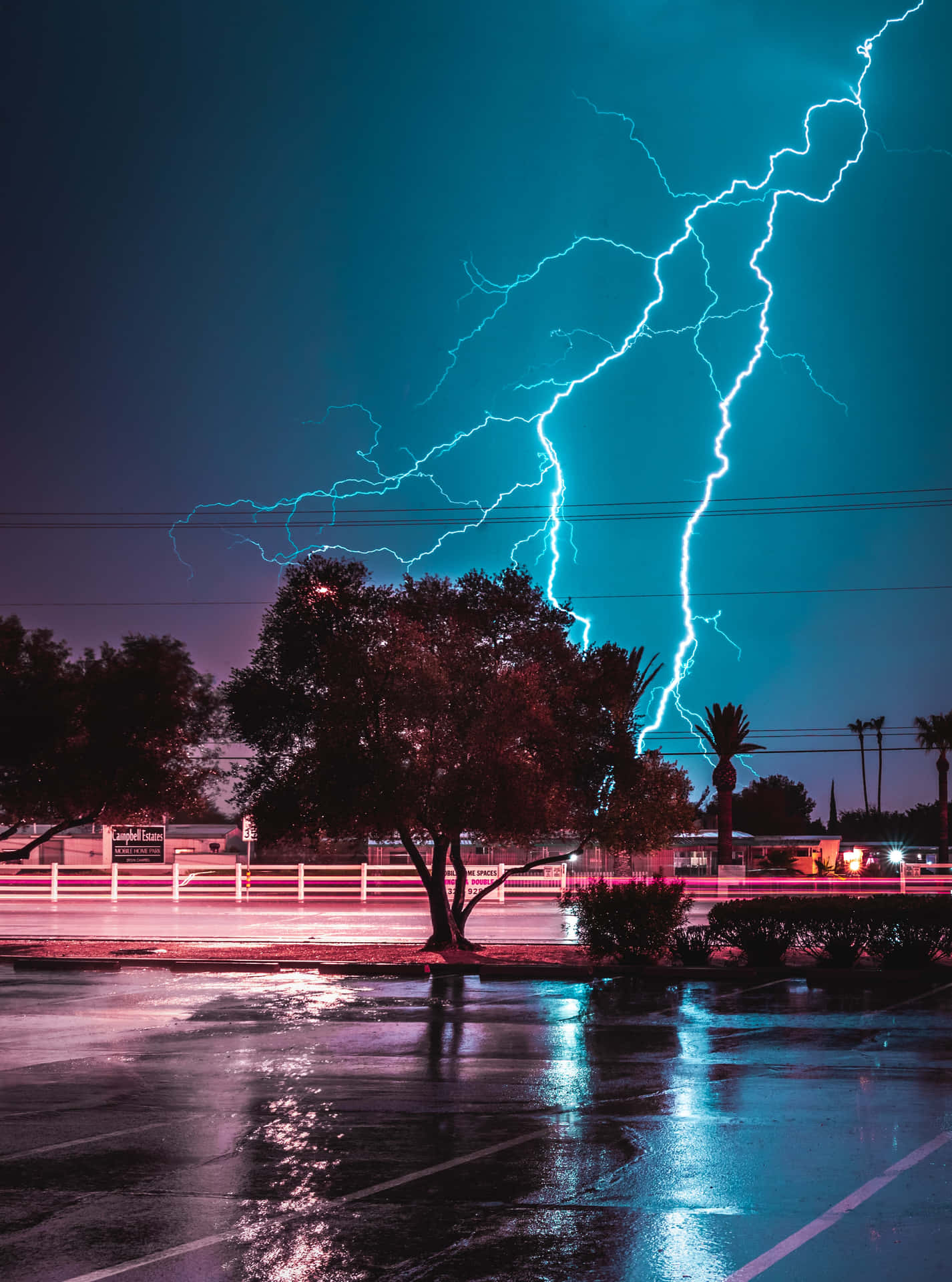 Image  A jagged streak of powerful blue lightning sparks against a black sky.