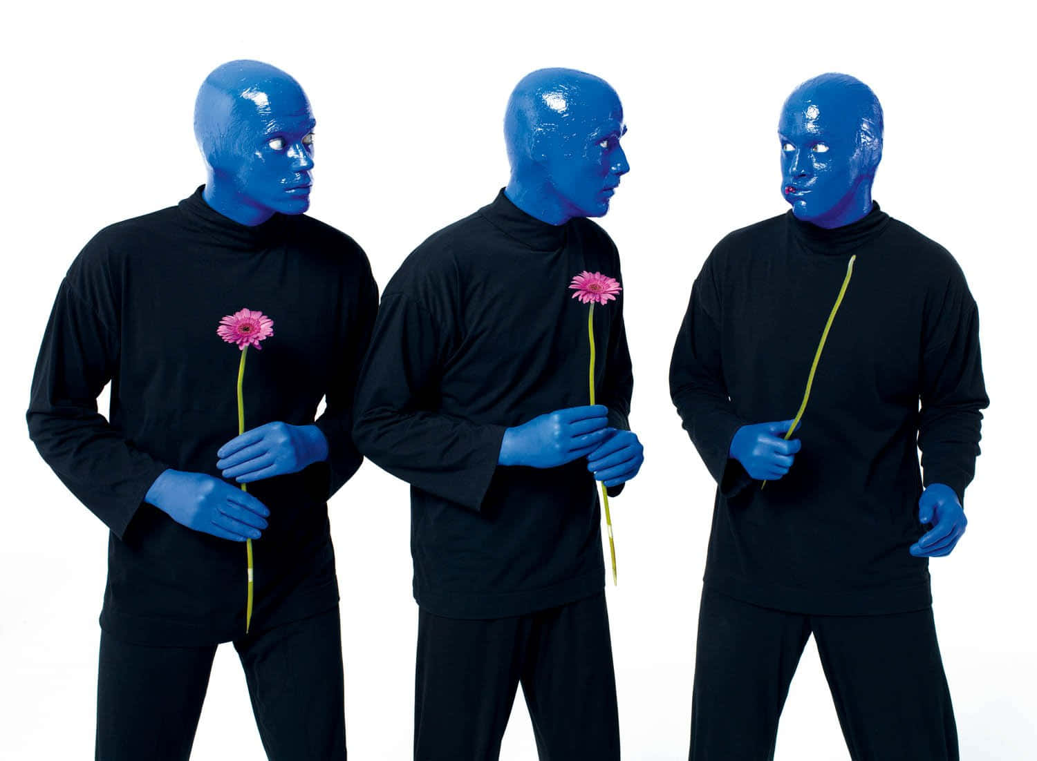 ¡disfrutade Las Impactantes Actuaciones De Blue Man Group! Fondo de pantalla