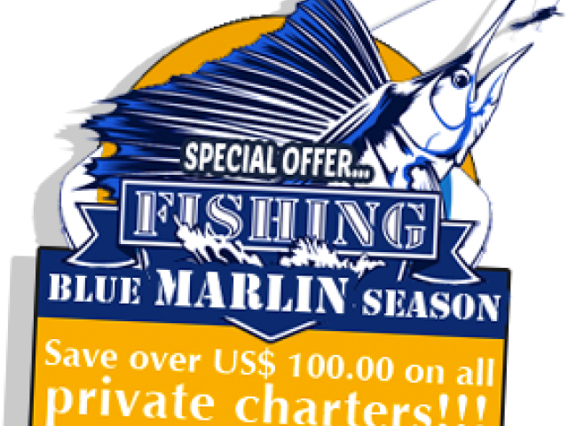 Blue Marlin Fishing Season Promotion PNG