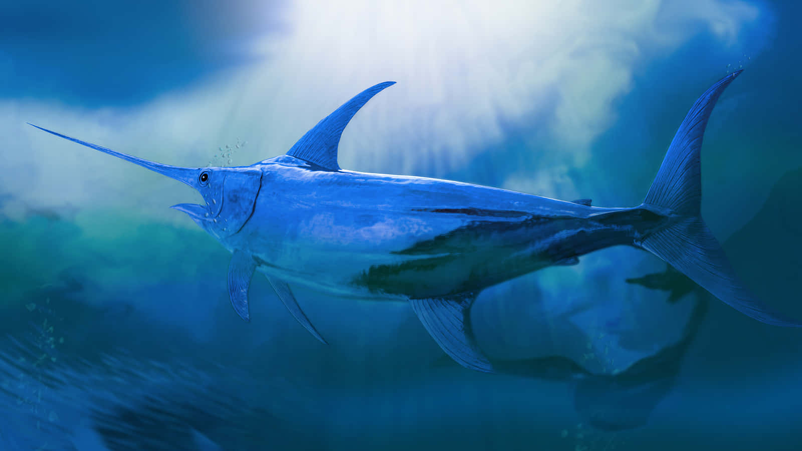 Blue Marlin Underwater Swimming.jpg Wallpaper