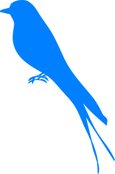 Blue Martin Silhouette PNG