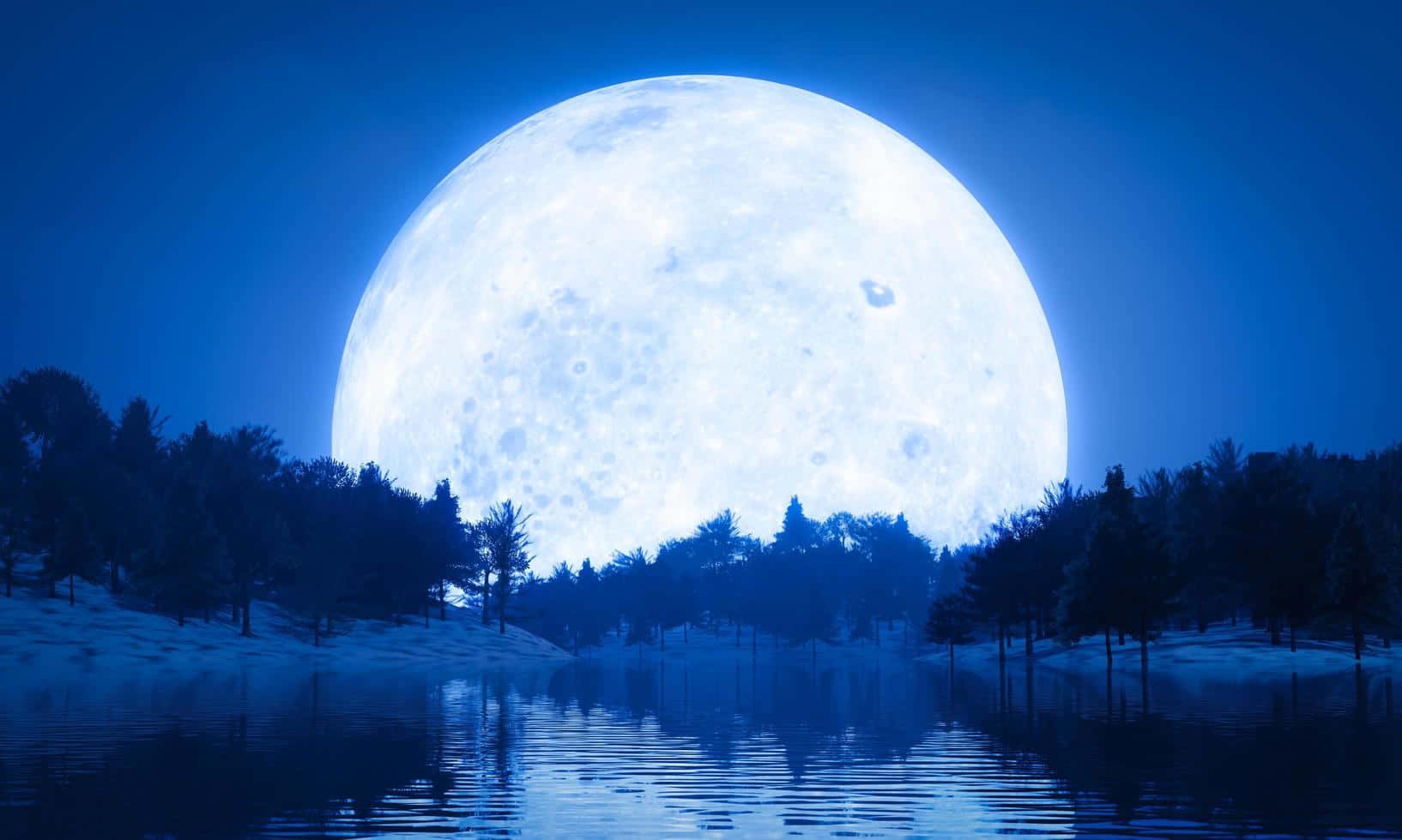 Blue Moon Over Silhouetted Forest Wallpaper