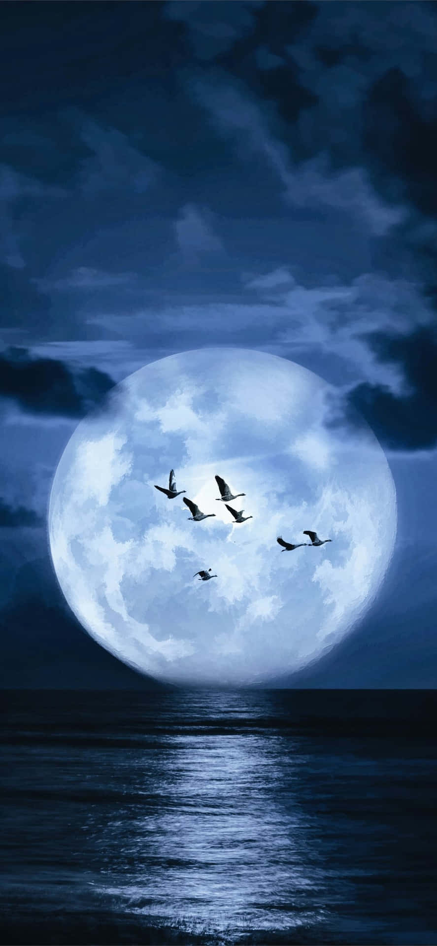 Blue Moon Silhouette Birds Flight Wallpaper