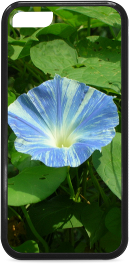 Blue Morning Glory Phone Case Design PNG