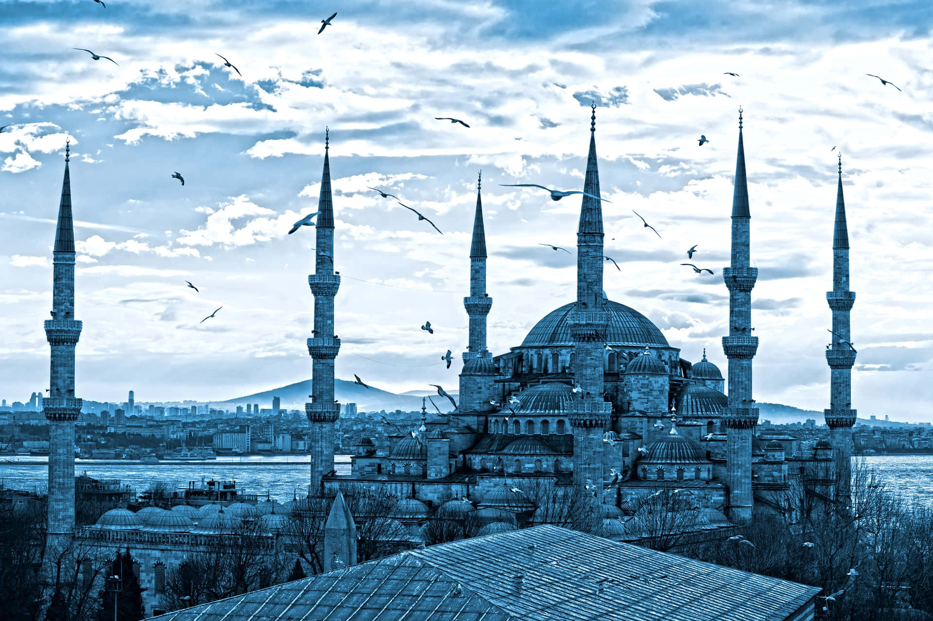 Blue Mosque With Birds Flying Wallpaper