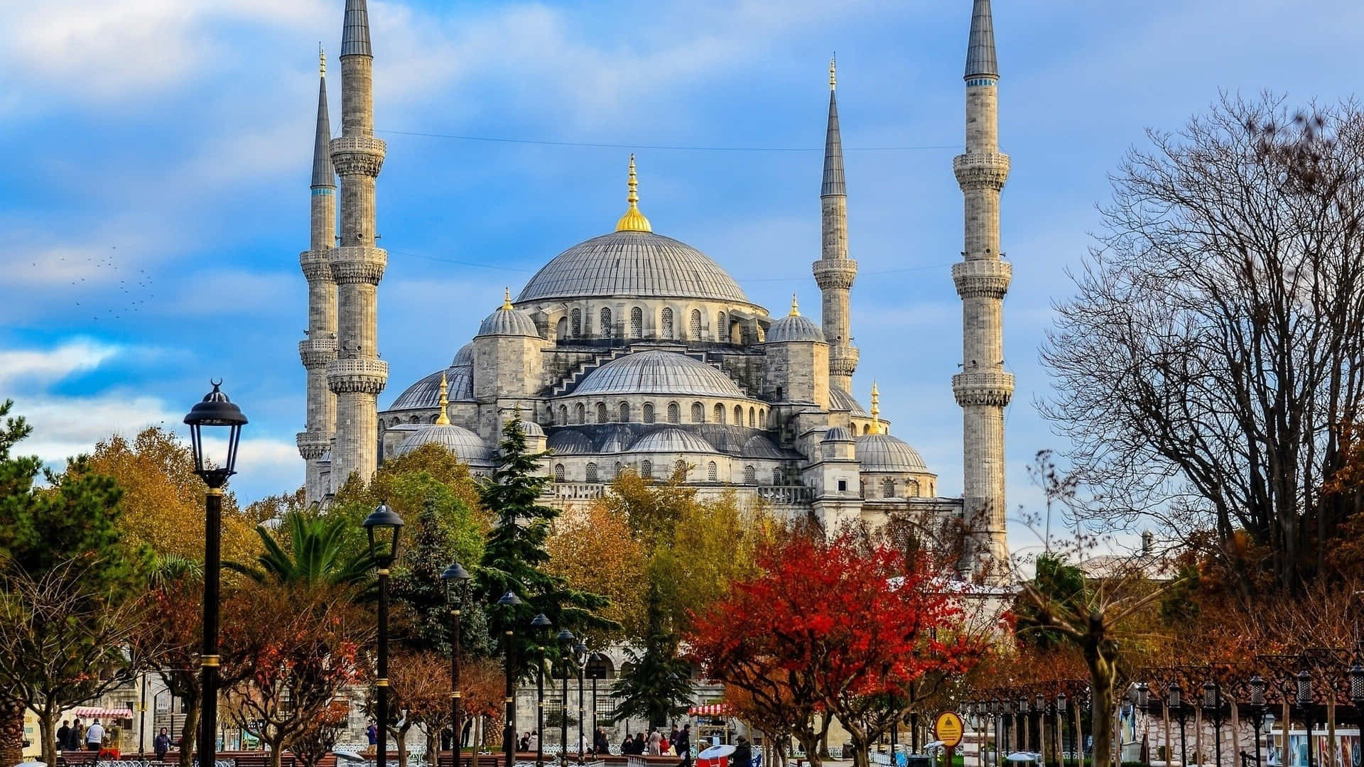 Blue Mosque With Fall Trees Wallpaper