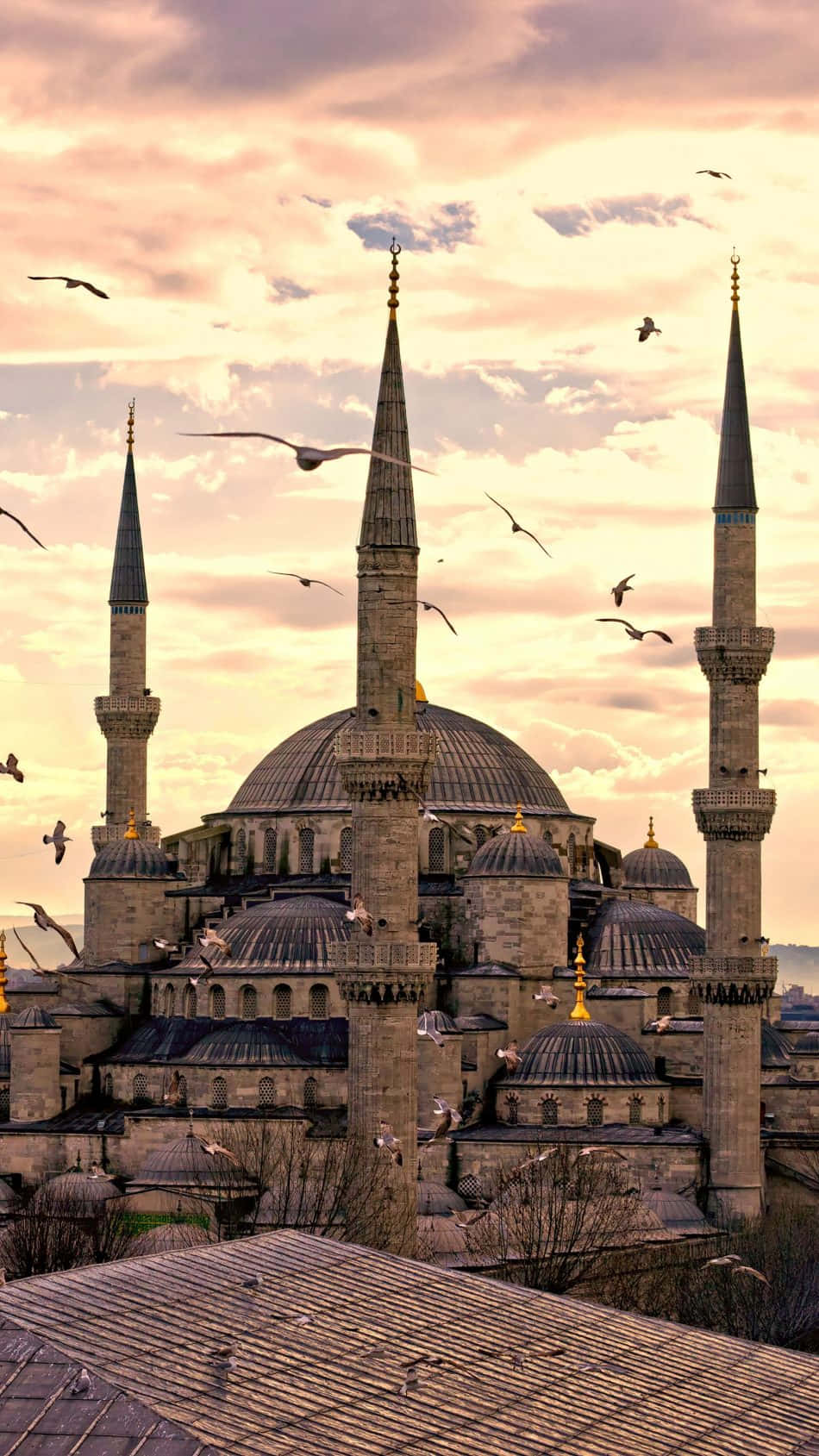 Blue Mosque With Flying Birds Portrait Wallpaper