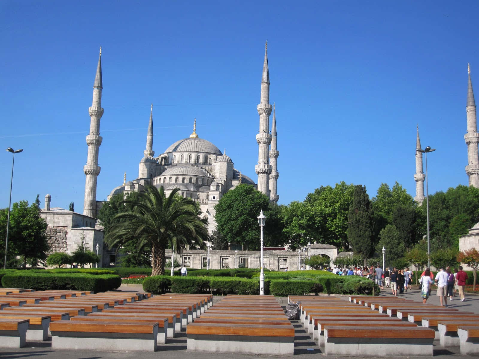 Blue Mosque With Trees In Blue Sky Wallpaper