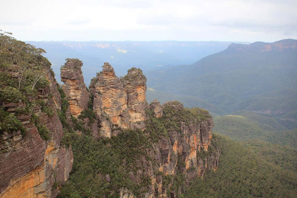 "Experience Nature at Its Finest in the Blue Mountains National Park" Wallpaper