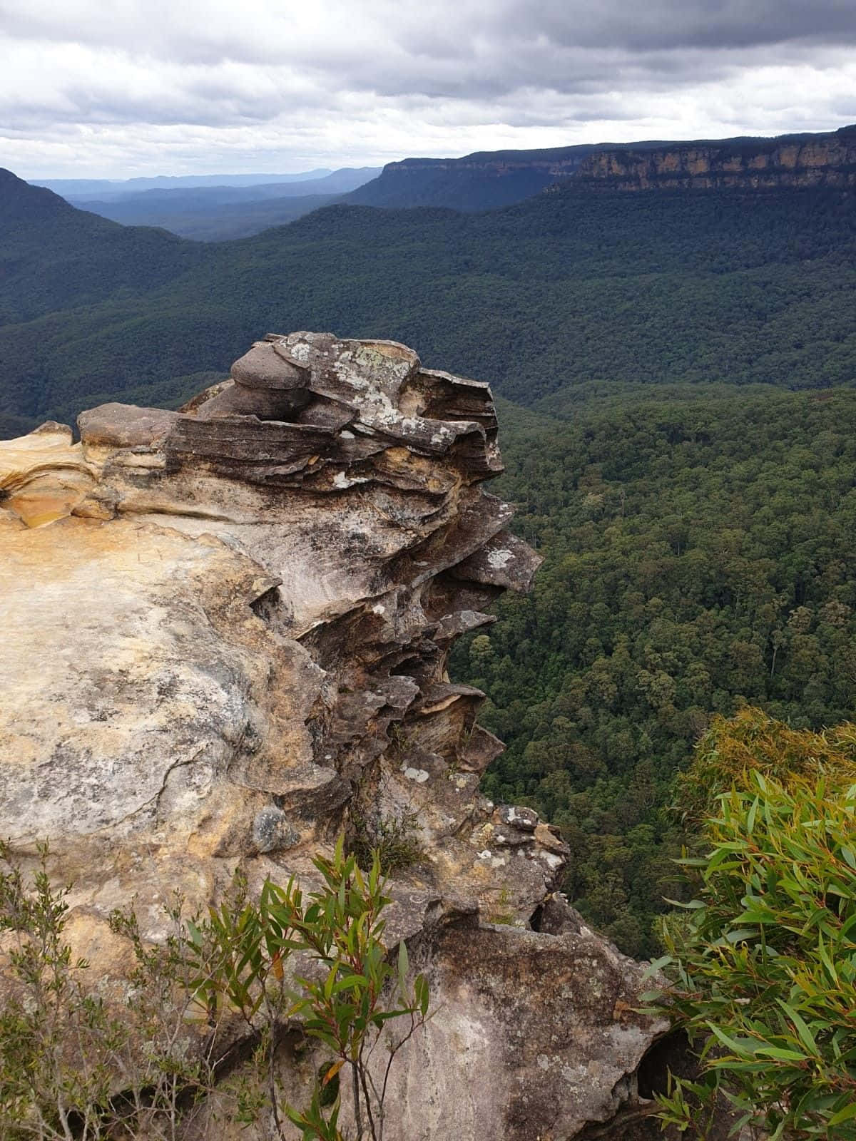 The beauty of Blue Mountains National Park Wallpaper