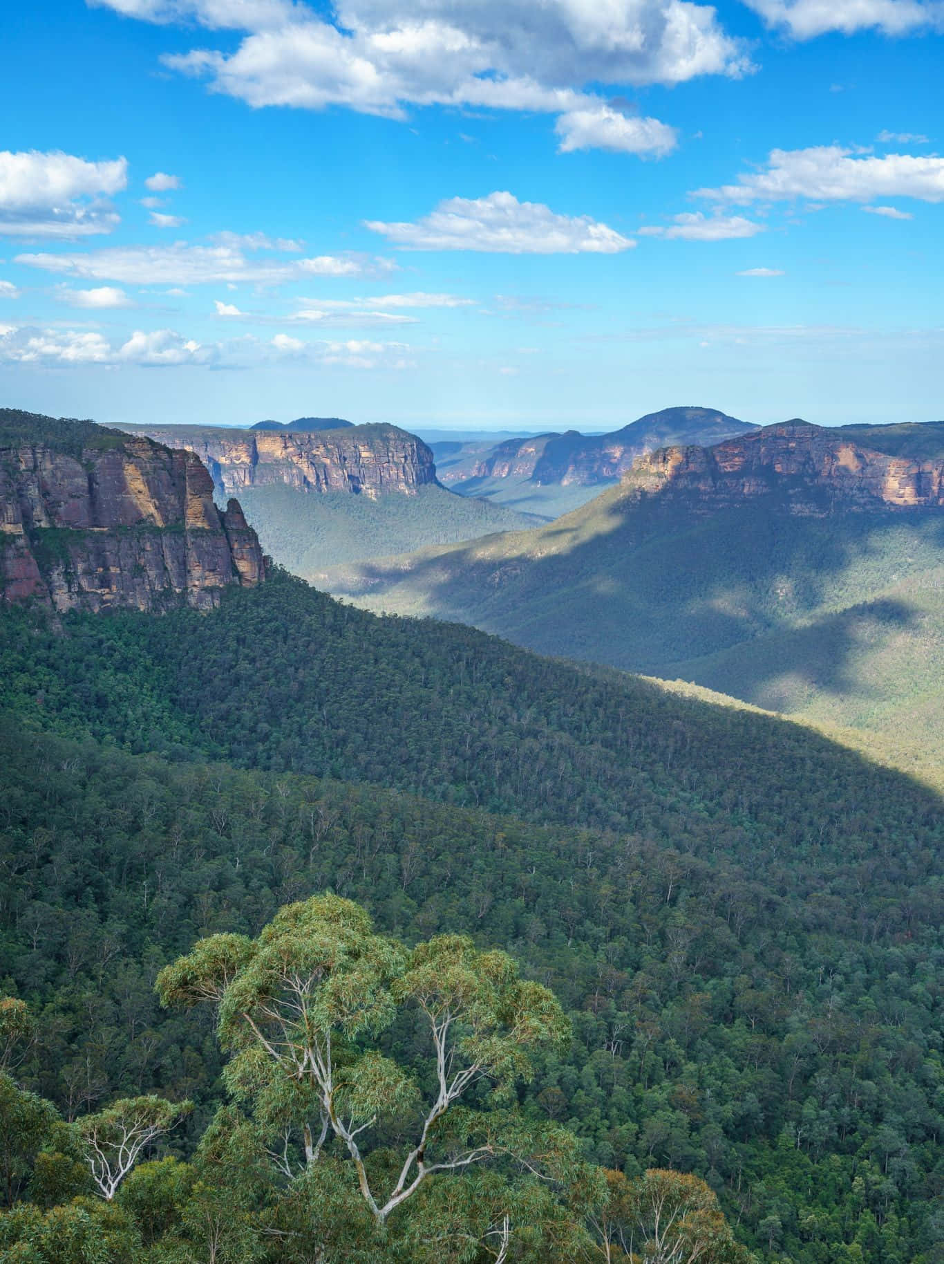 "Beauty of Blue Mountains National Park" Wallpaper