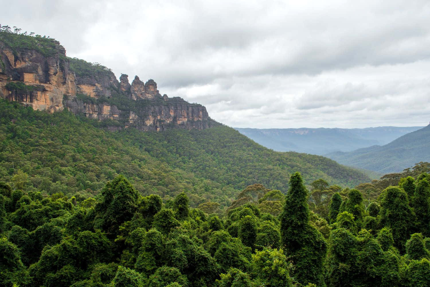 Take in the stunning beauty of Blue Mountains National Park, Australia Wallpaper