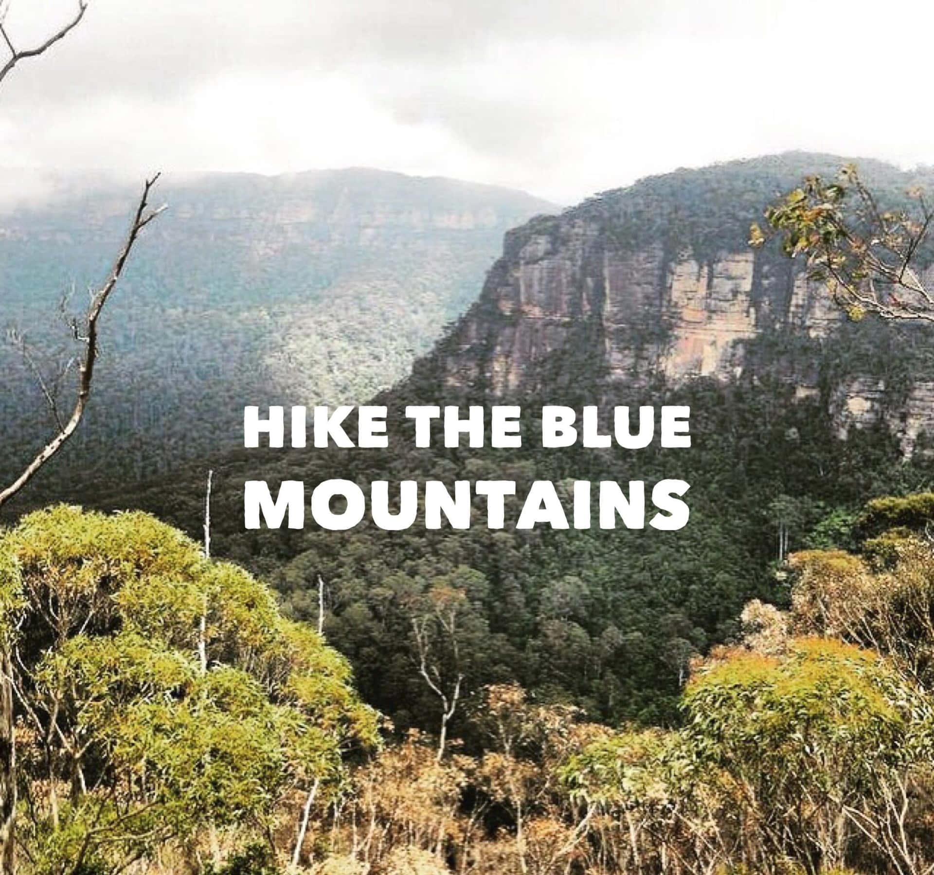 A stunning landscape view of the Blue Mountains National Park. Wallpaper