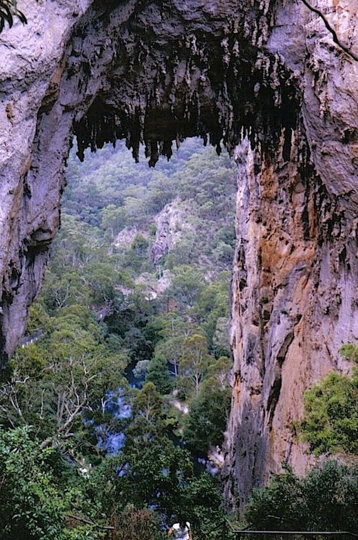 "Soaring over Blue Mountains National Park, Australia" Wallpaper