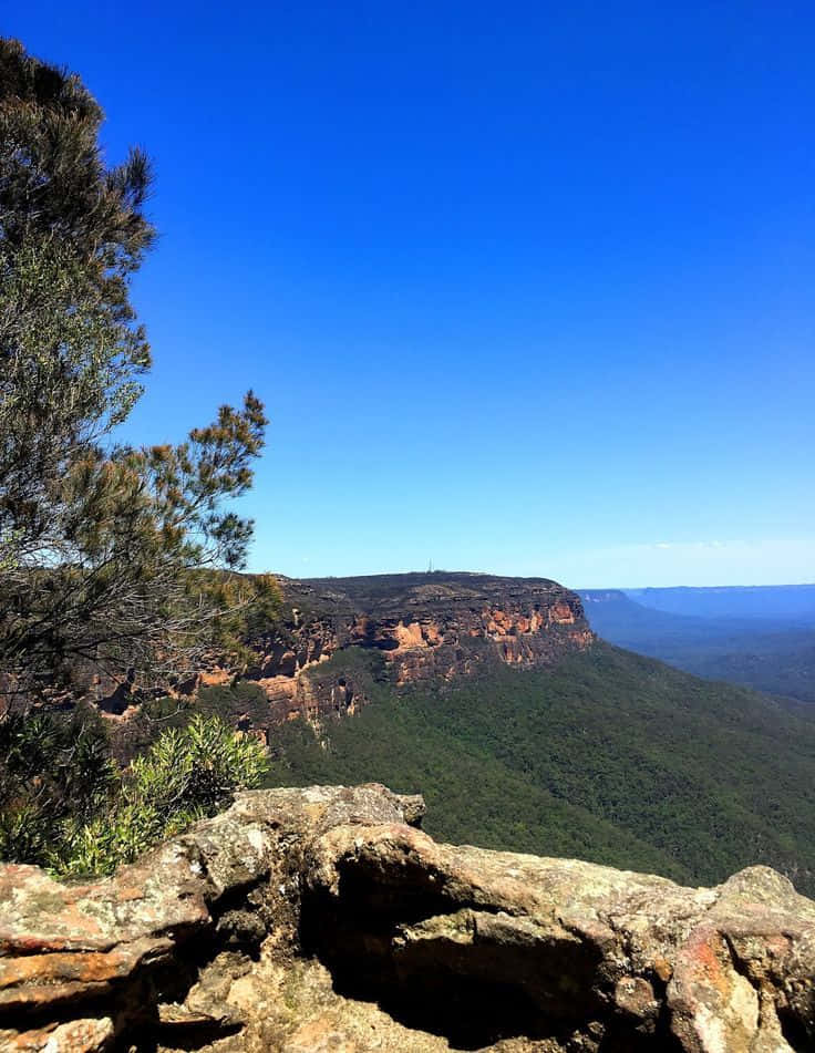 Explore nature in the serene Blue Mountains National Park Wallpaper