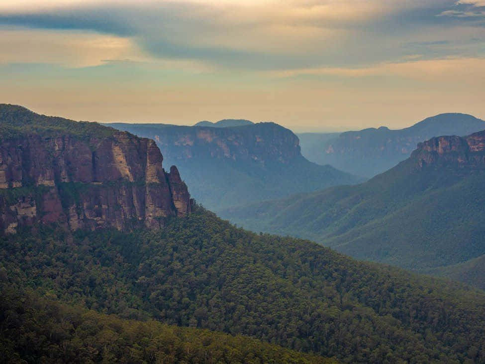 "Admire the stunning beauty of Blue Mountains National Park" Wallpaper