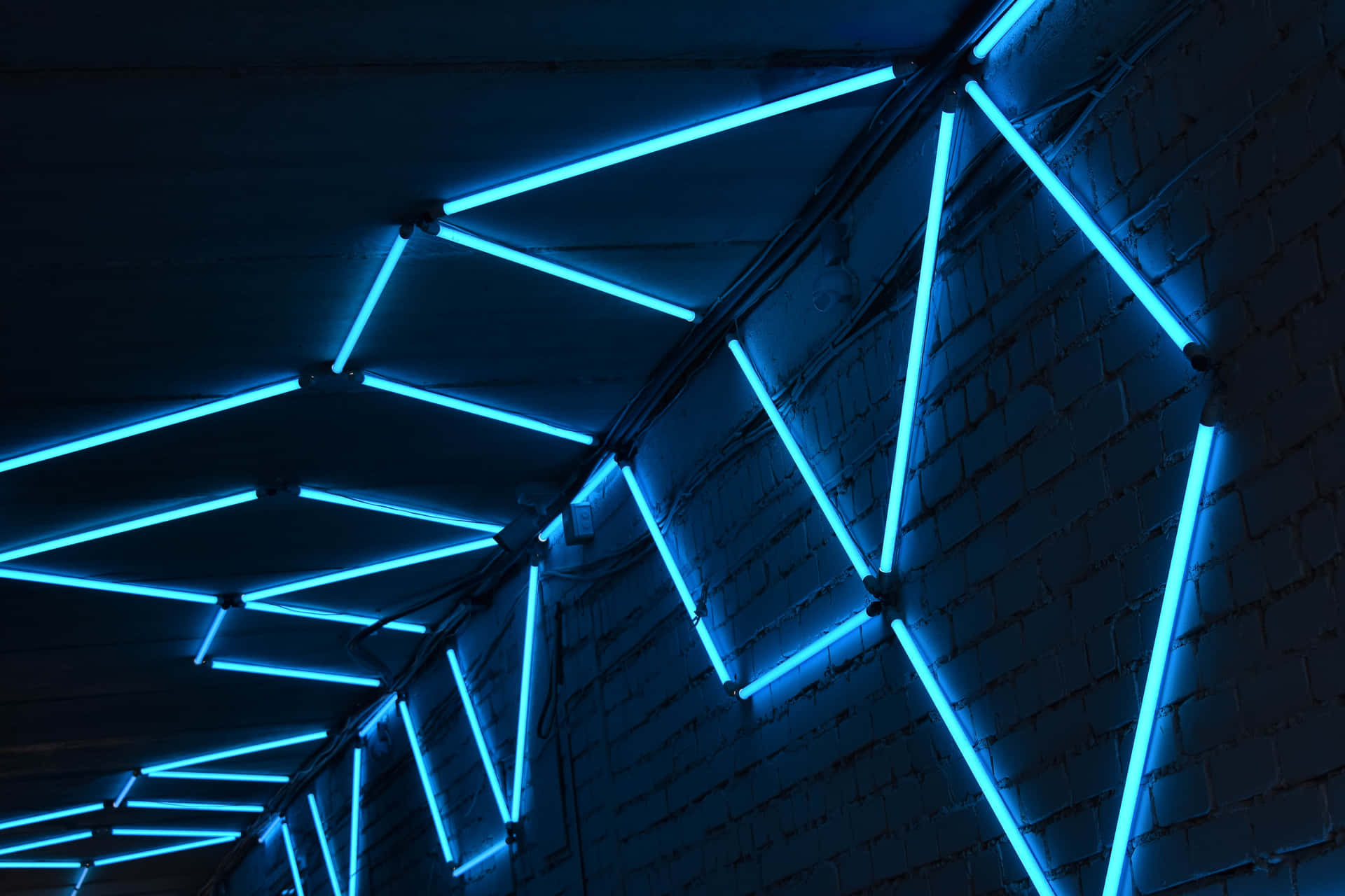 Bright Blue Neon Lights Shine in the Night Wallpaper
