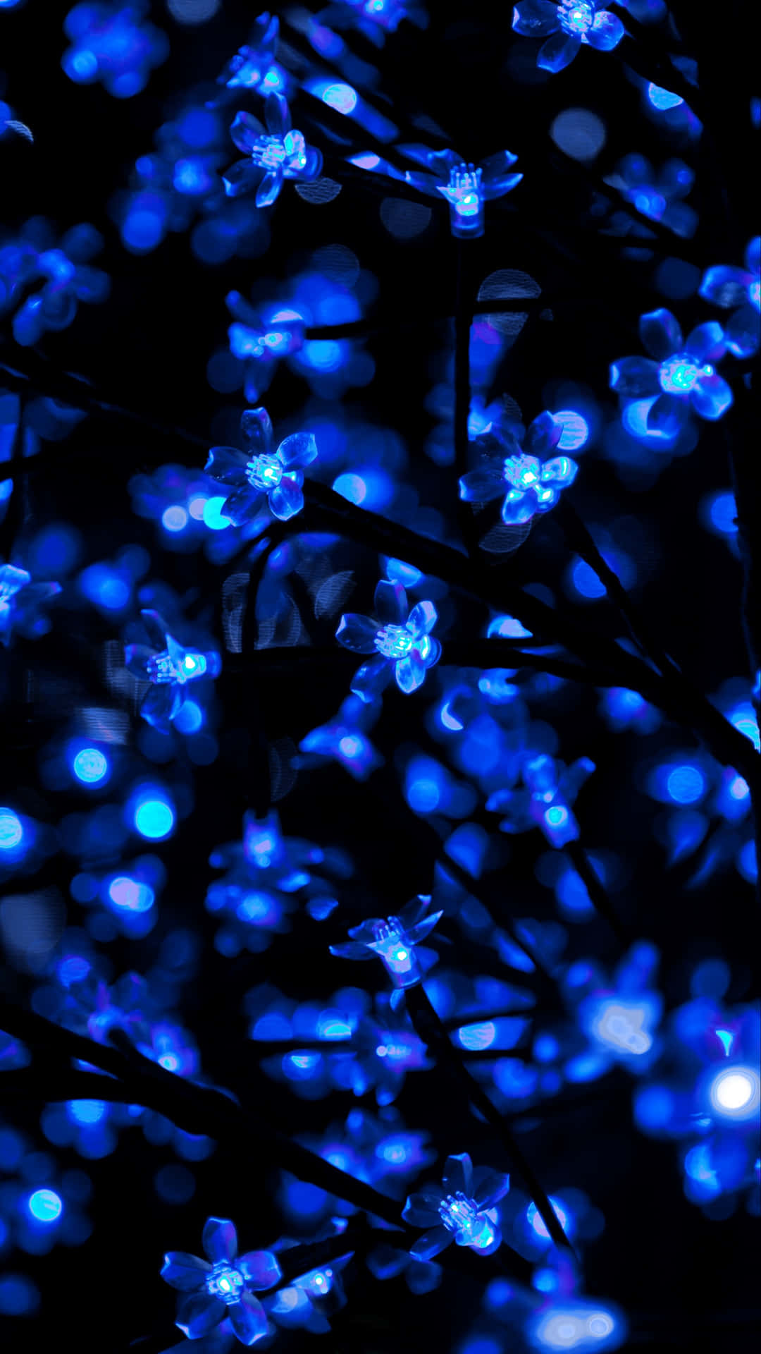 Glødende blå neonlys oplyser et mørkt miljø. Wallpaper