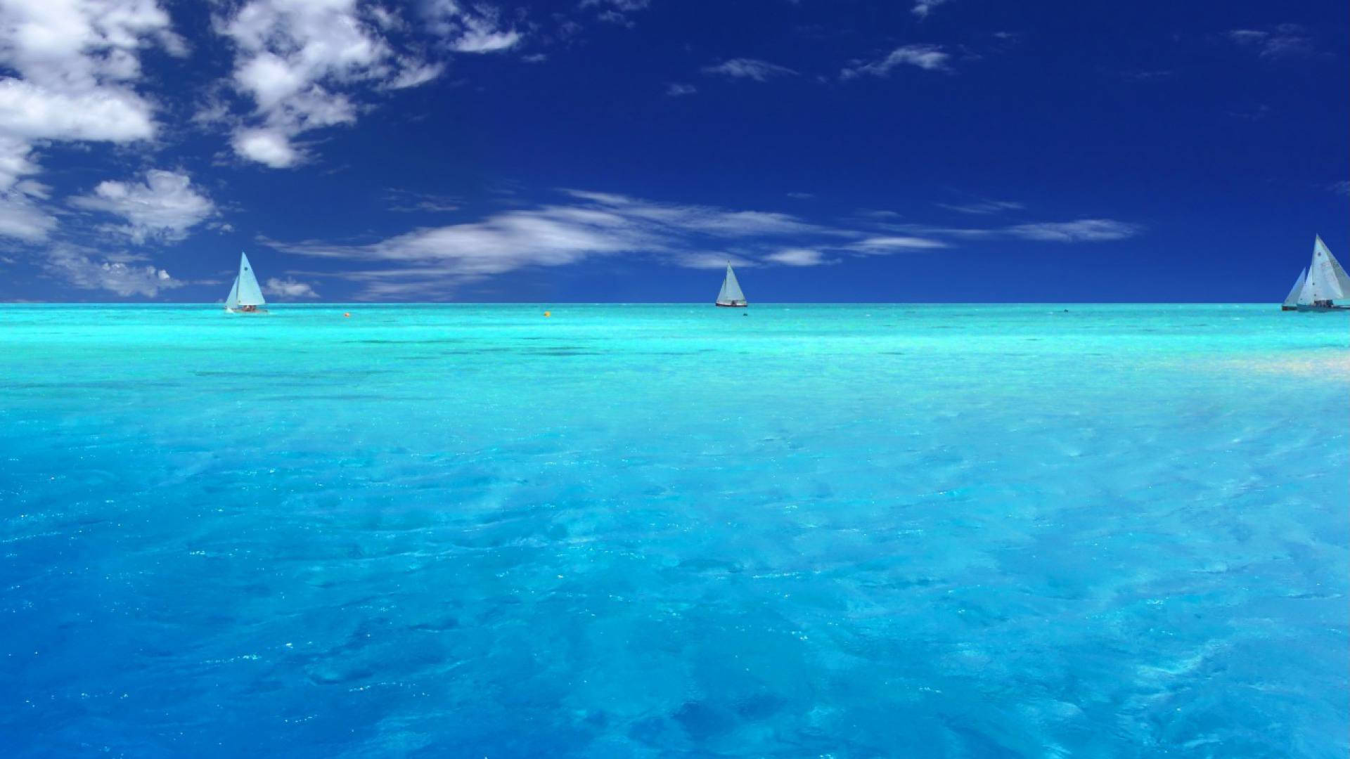 Explore the tranquil beauty of the Ocean Wallpaper