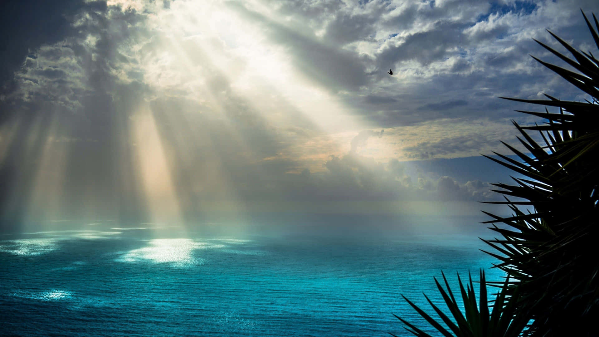Blue Ocean With Sun Rays Wallpaper