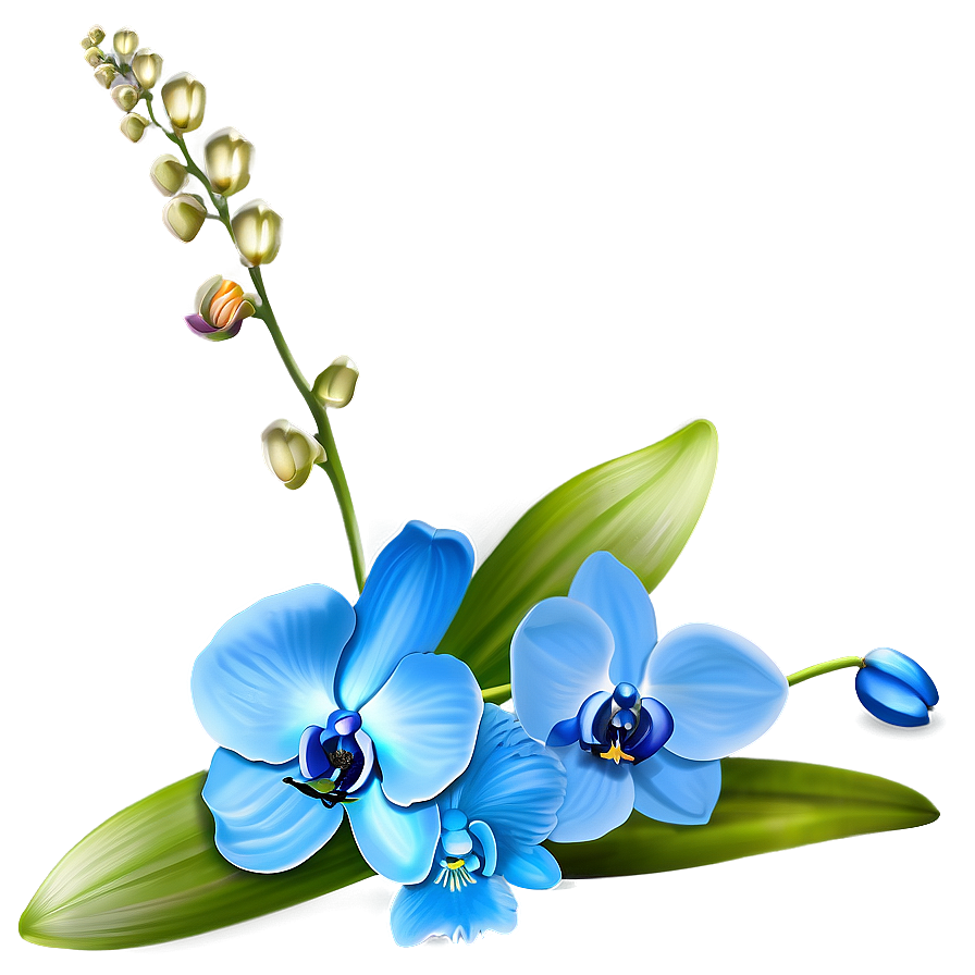 Blue Orchid Png Dbh PNG