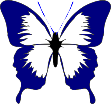 Blue Outlined Butterflyon Black PNG