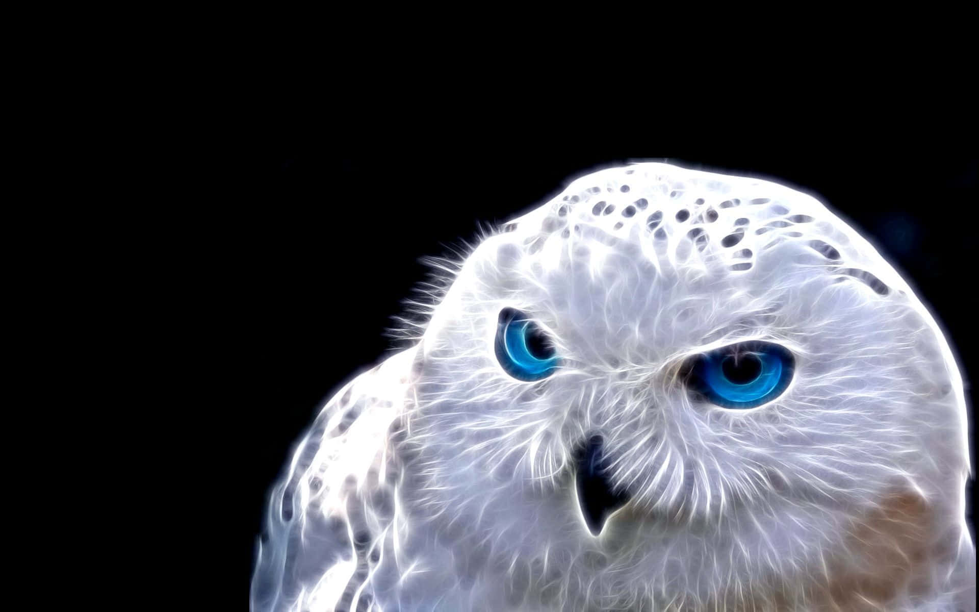Download Blue Owl Background | Wallpapers.com