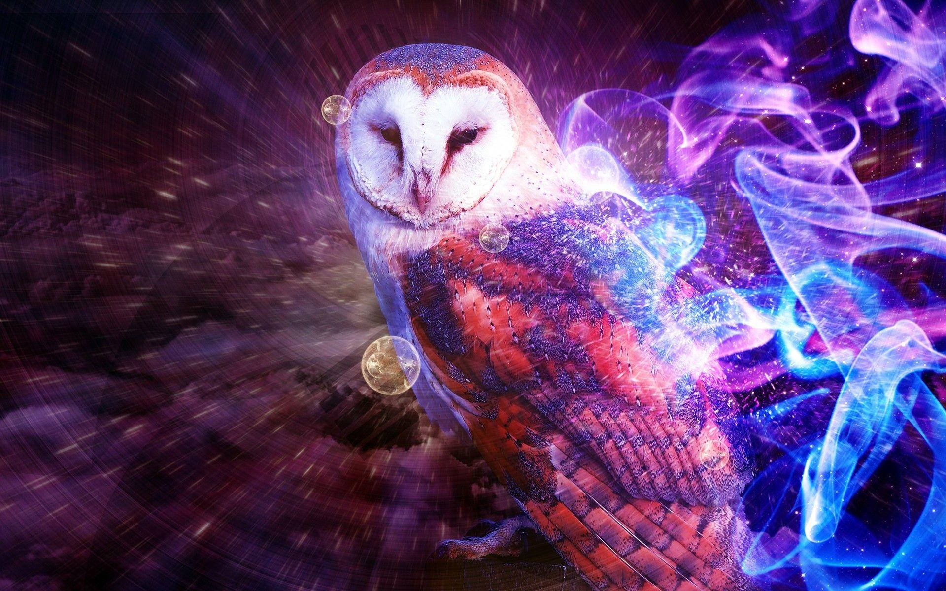 Blue Owl Light Wallpaper