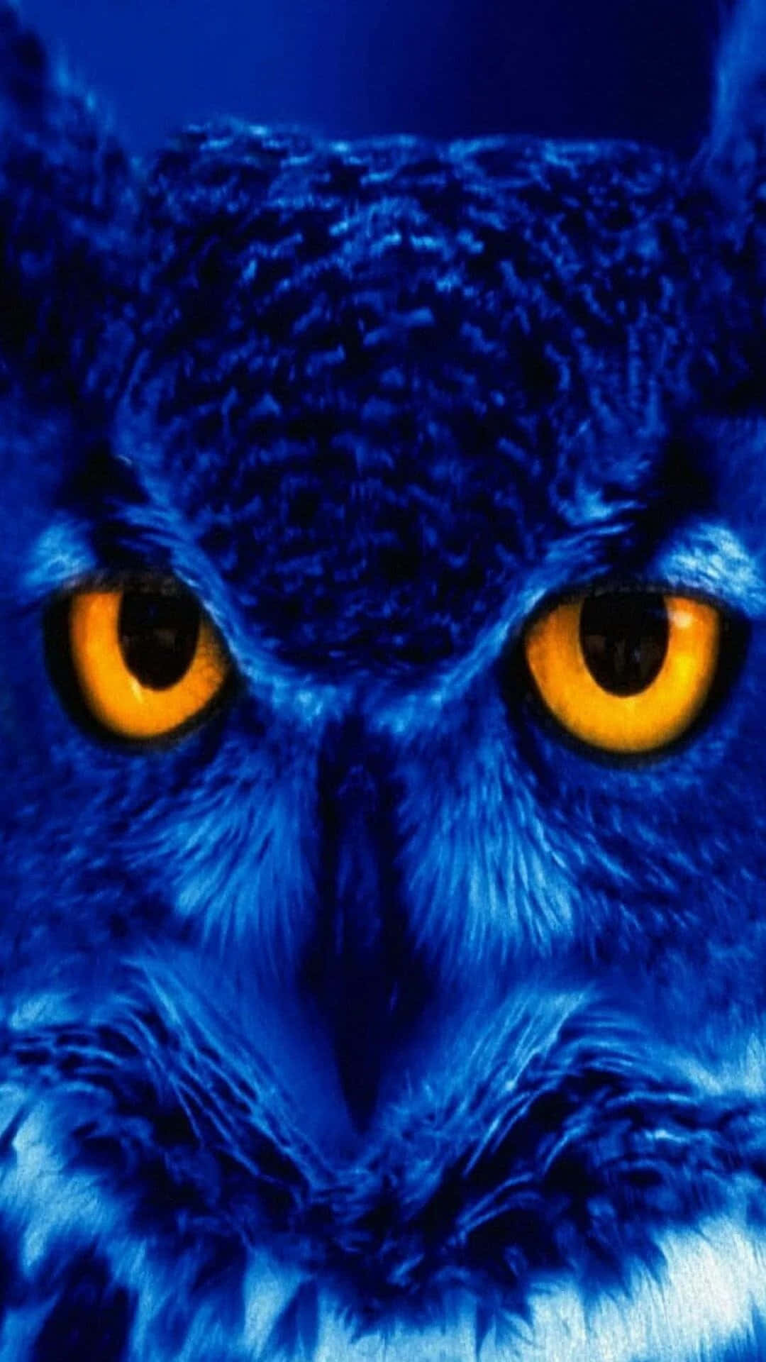 An Owl With Yellow Eyes Is Shown In Blue