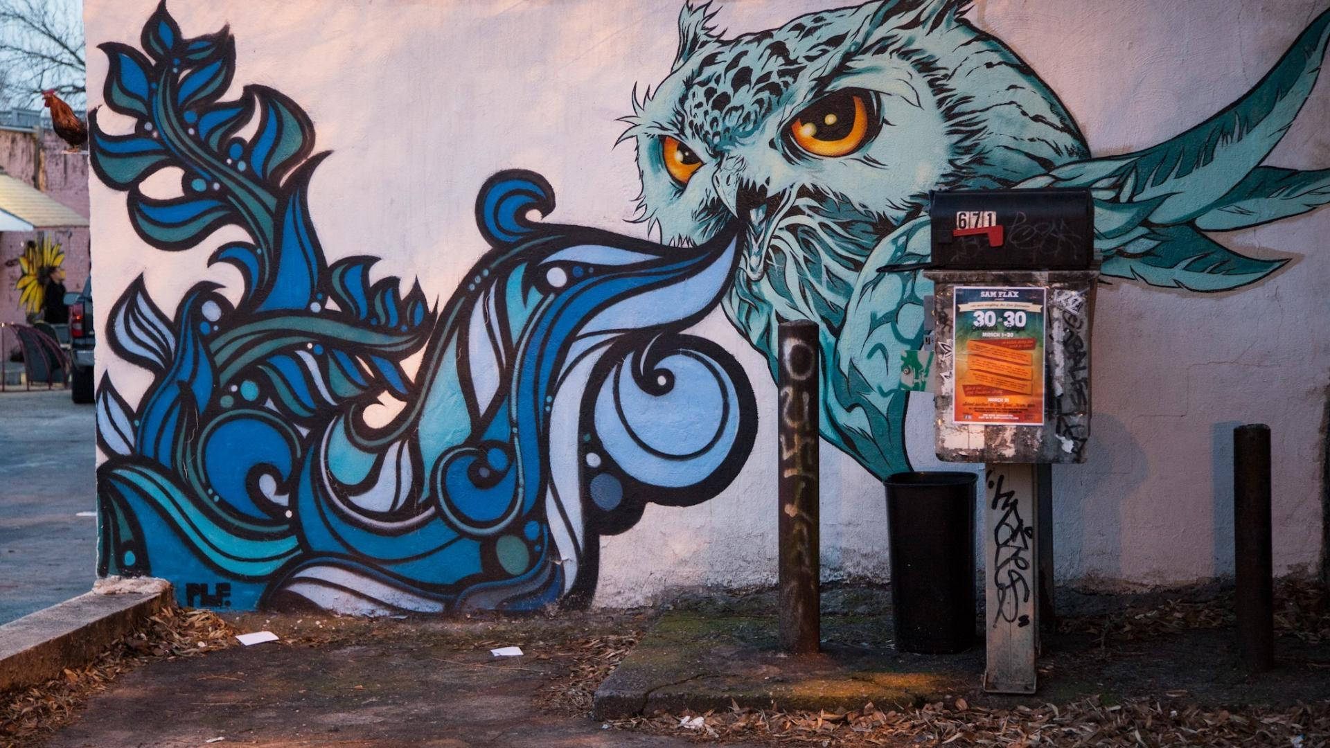 Blue Owl Urban Art Wallpaper